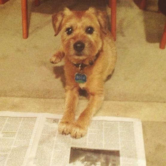 tweetintoph's profile picture. miles from nowhere