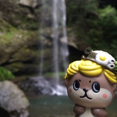 しんじょう君のことが大好きやきね ÒㅅÓ。)☆ カパル親善大使No.43 大崎一番太郎 わかぱん