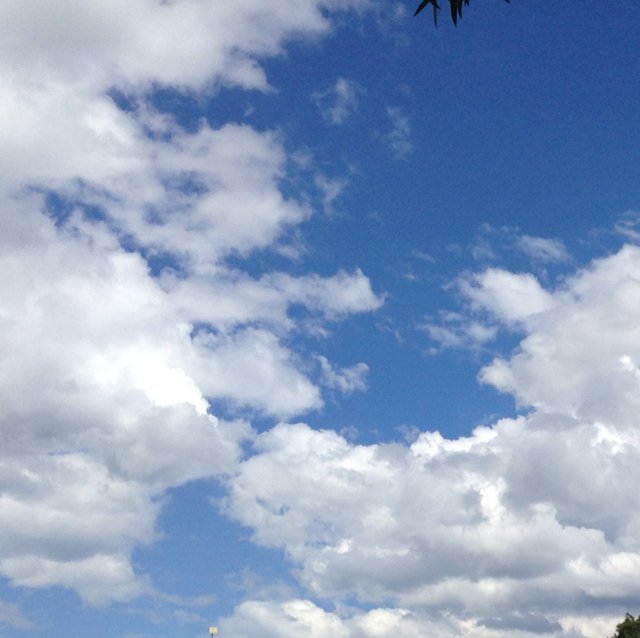 Pmexamprep's profile picture. PMP and CAPM exam preps