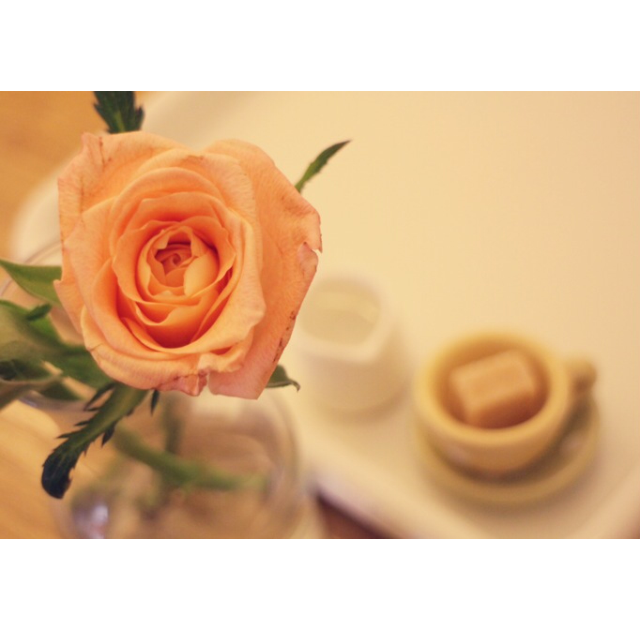 Memories_RS's profile picture. Photograph landscapes, skies, foods, cats, peoples, and anything I want with Canon EOS M.