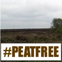 A group of Irish people who are concerned about peatland loss. We came to together due to the destruction of Natura 2000 raised bogs in the West of Ireland.