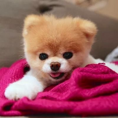 실내가구인테리어