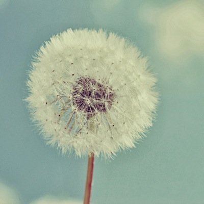 haifa__123's profile picture. 