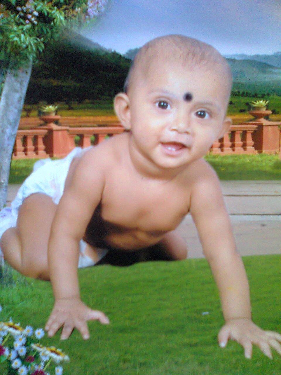 shekhar pattnayak Profile
