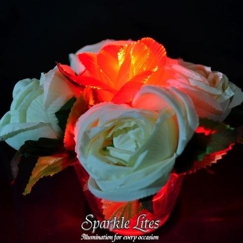 Sparkle Lites are affordable L.E.D. lighted products. With Sparkle Lites you can add lighting to any event, or decor piece.