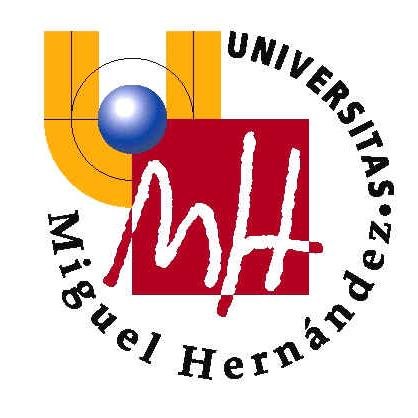 Bienvenidos al Twitter no oficial del Grado en Comunicación Audiovisual de la @universidadMH, gestionado por alumnos para alumnos.