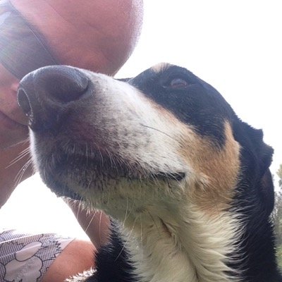 bartkok83's profile picture. 