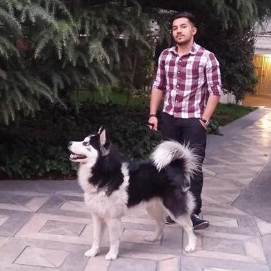 #AK Partili twitter kullanıcısı