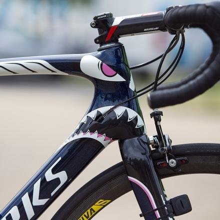 SPECIALIZED ALLEZ COMP。200キロ走って寝込みました。自転車関係なさそうな方と鍵垢はフォロバしてません