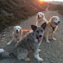 JILL BONE - @jill95762376 - Twitter