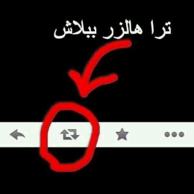 احب الله والجنه ودرب المصطفى سنه اريد لراية التوحيد ان ترقى الى القمه