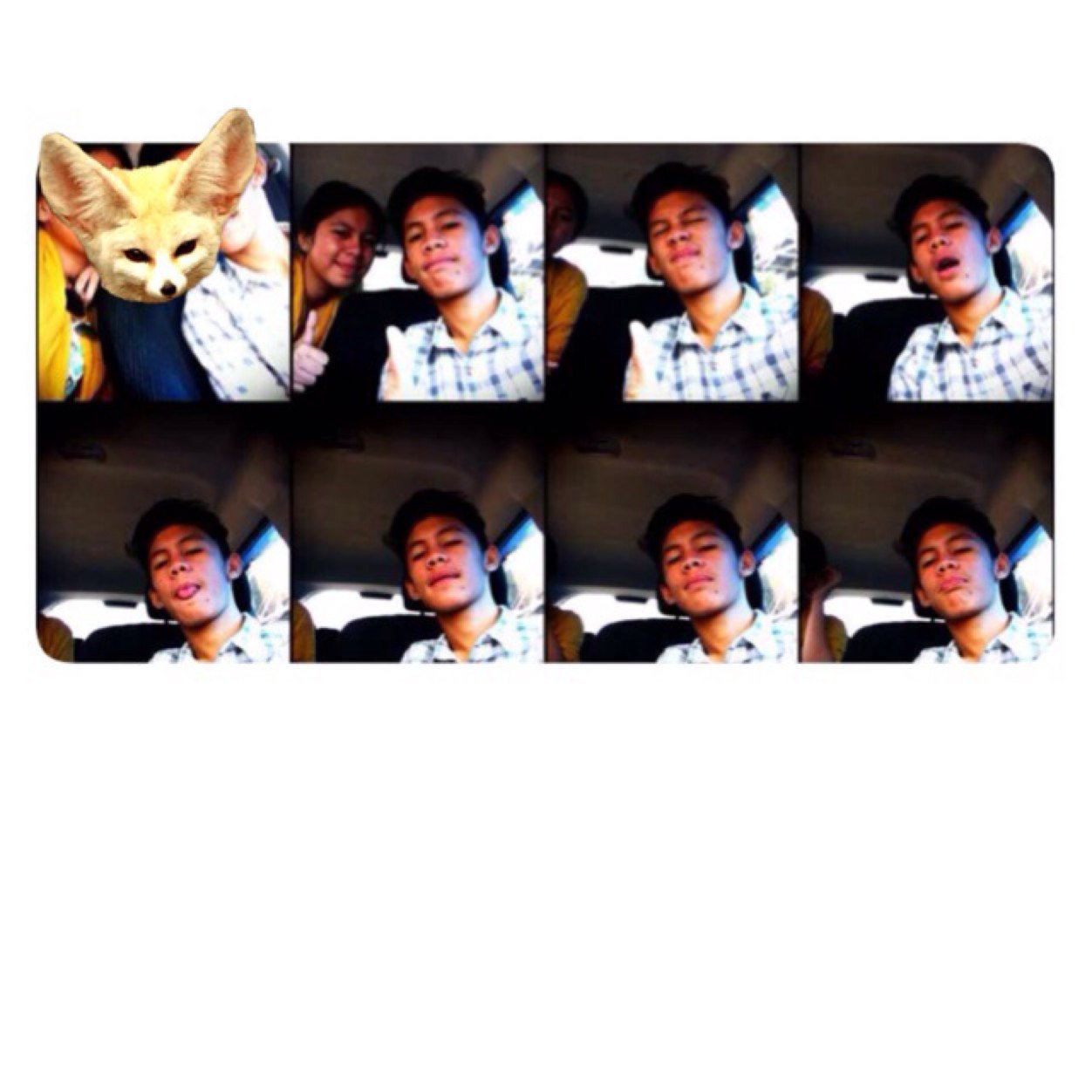 albiromdoni's profile picture. 