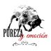 Pureza y Emoción (@purezayemocion) Twitter profile photo Pureza y Emoción (@purezayemocion) Twitter profile photo