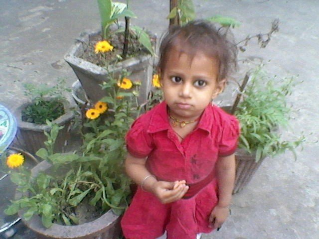 बी.एड टीईटी पास सोशल और भाषा बेरोजगारो की आवाज में  पर न्याय दो... 2013,15,16,17, टेट पास