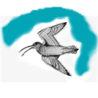 Derbyshire Ornithological Society (DOS)(@Derbyshirebirds) 's Twitter Profile Photo