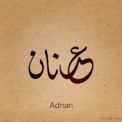 وطني اغلى ما املك فلا تجربني فيه...