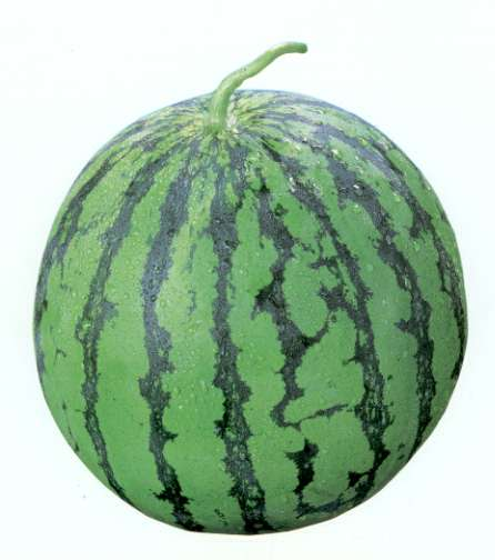 昔が