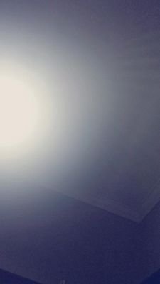 sofiadocmc's profile picture. 