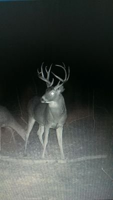 bowhunter0126's profile picture. 