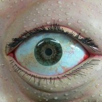 怪獣(海獣)ショップてつ 5/26怪獣ワールドフェスティバル8 (@kkattouu) 's Twitter Profile Photo