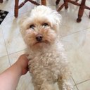 Raymond Rapp - @RappRaymond1 - Twitter