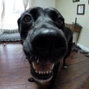 Robert Hogge - @HoggeRobert - Twitter