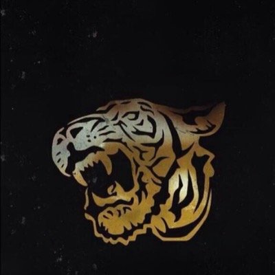 آمووت في شئ إسمه الإتحاد # صَانع قرار