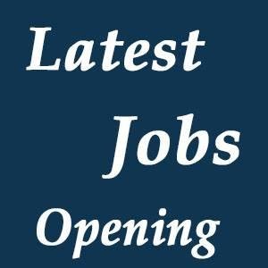 latestjobsO's profile picture. 