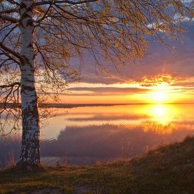 Общительный. Иногда люблю выезжать на природу. Интересуют #автомобили и все, что с ними связано. #follow #rufollowback #авто #avto #cars