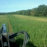 blank (@blanshardbill) 's Twitter Profile Photo