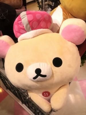 ce9a410ac61648b's profile picture. 