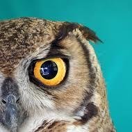 MargaretheNair's profile picture. Greetings everyone! This is my personal introduction. Your kind attention and support would be greatly appreciated