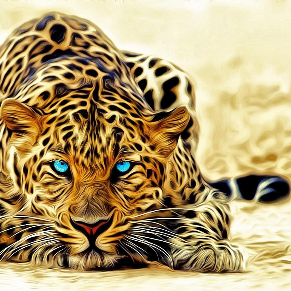 mithoo172's profile picture. 