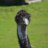 ItchyanusIvan's profile image