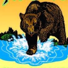 Grizzly Jack’s Grand Bear Resort provides a unique retreat in Illinois with indoor water and amusement parks, dining, banquets, rustic suites, cabins & villas.