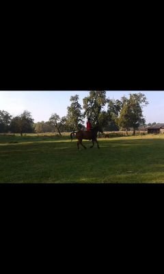 hier ist jacky :)