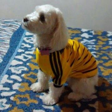 HERDAVID40's profile picture. 