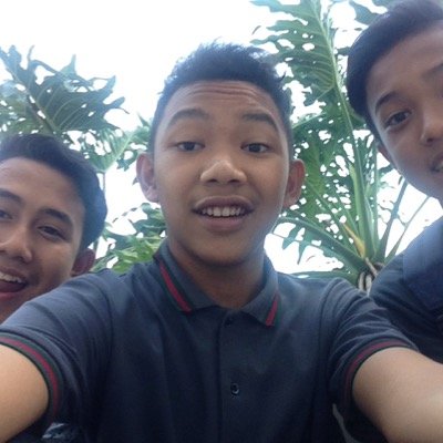 ALIG FAMS