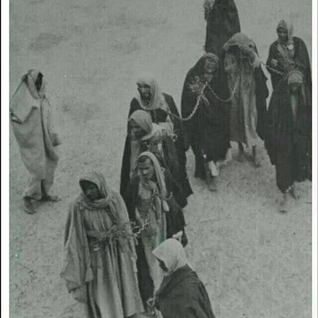 من تواضع لله رفعه