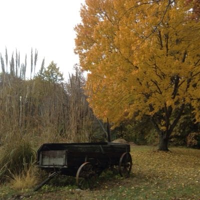 Illini, CCA. agriculture professional. beekeeper. classic cars.