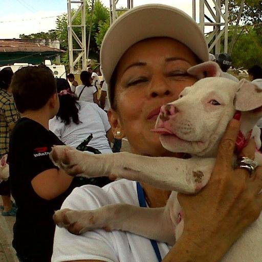 en la lucha constante porla proteccion animal.