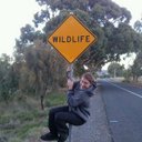 Stephen Leckie - @studlecki3 - Twitter