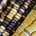 Hub Pacífico Sur (@hubpsurcimmyt) Twitter profile photo Hub Pacífico Sur (@hubpsurcimmyt) Twitter profile photo
