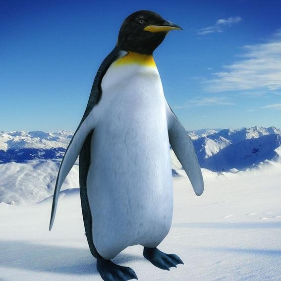 Jeanne_Beattie's profile picture. Follower of some pretty random accounts