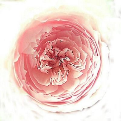 Roriさんのプロフィール画像