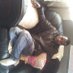 Goodmore Maphosa (@momaphosa) Twitter profile photo