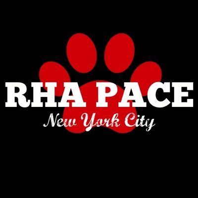 RHA (Residence Hall Association) is an organization run by the residents to make the changes that you want to see at our school!