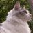 @masha0402