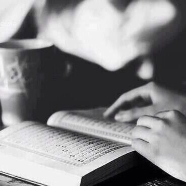 metgalalsbai's profile picture. 