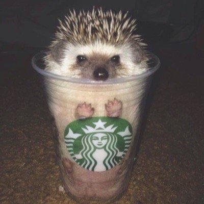 k_mcclammer's profile picture. 